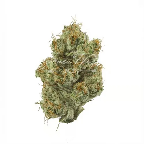 Shrieker Reserve Flower from  product image
