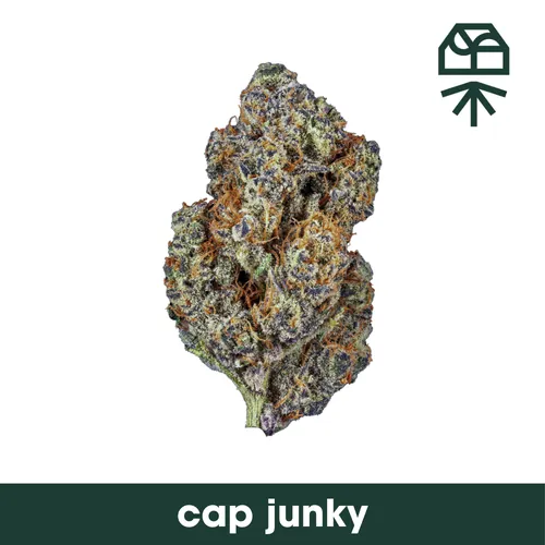 Cap Junky  -  cannabis product