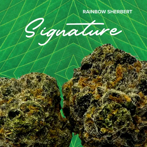 Rainbow Sherbert Signature - 3.5g by Sanctuary Medicinals - 3.500g Whole