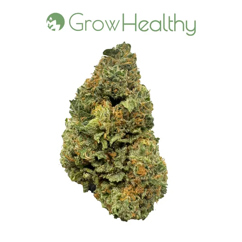 Fruit Loopz Flower from  product image
