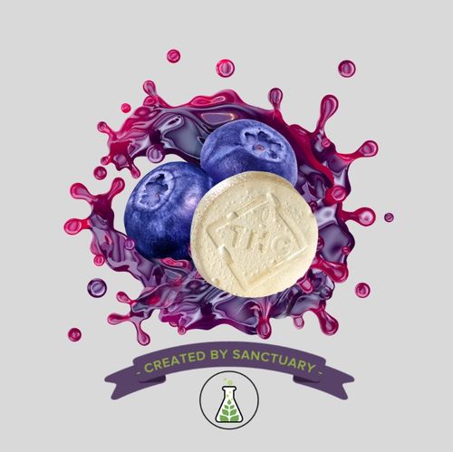Full Spectrum Blueberry Soft Chew 100mg 10 pk - 