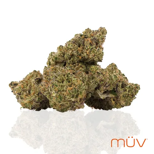  from  product image