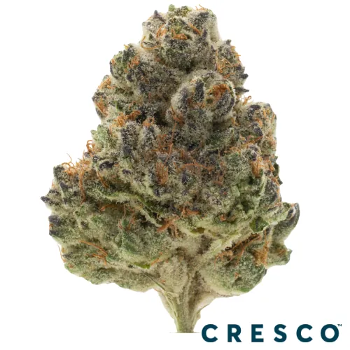 Caribbean Queen -  cannabis product