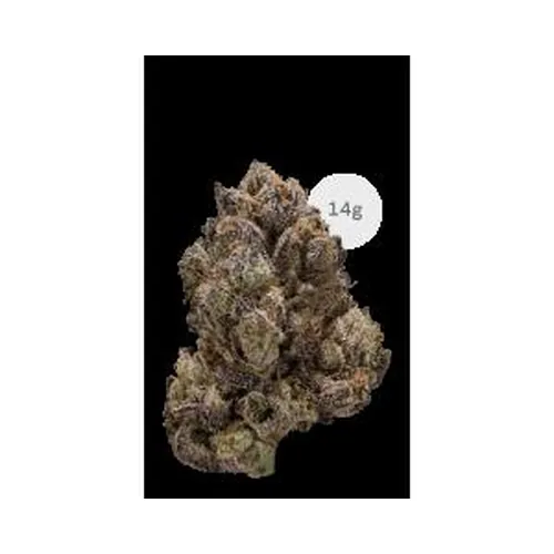 710 Labs 14g Flower - Banana Rickscotti by 710 Labs - 14.000g Whole