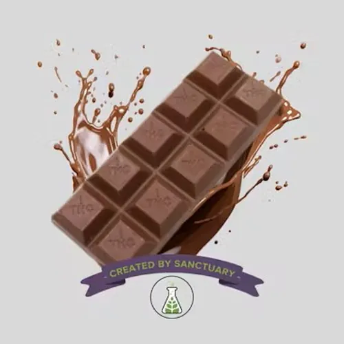 Milk Chocolate Bar | 100mg 10pk