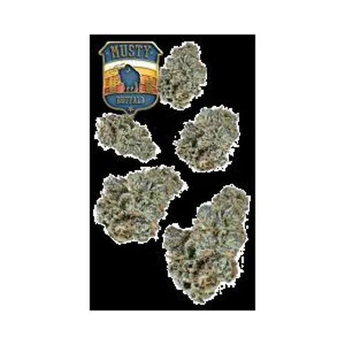 Musty Buffalo 7g Juniors
