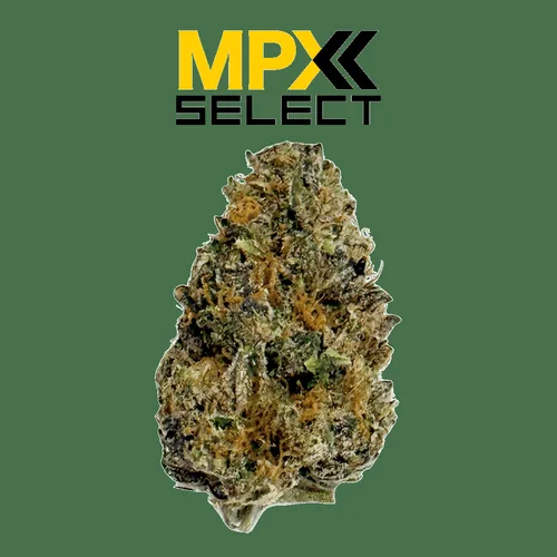 image of MPX Select™ Zushi Flower