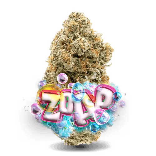 Zoap - 