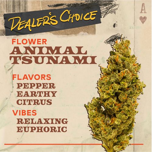 Animal Tsunami 3.5g Flower - 