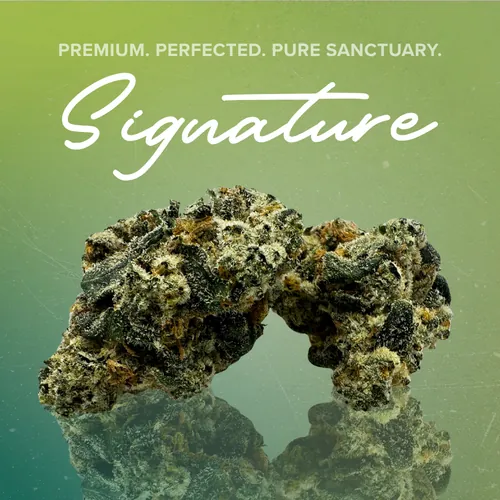 Mango Chem Signature - 3.5g by Sanctuary Signature - 3.500g Unknown