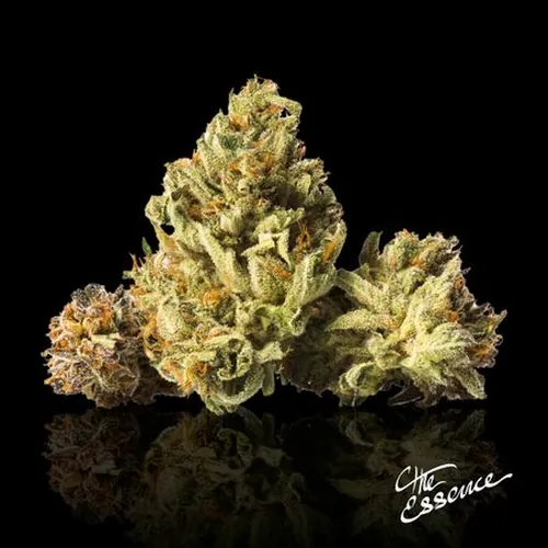 Melonade from  product image