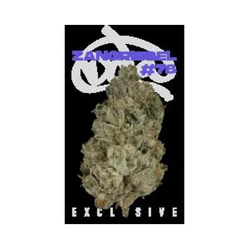 Zangriesel #78 7g Juniors