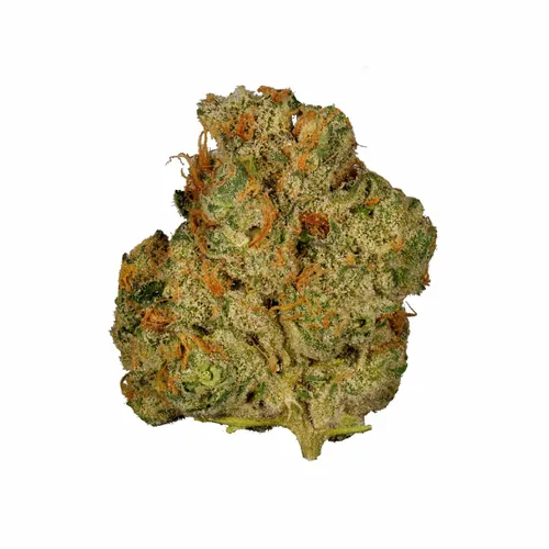 Funky Guava Flower from  product image