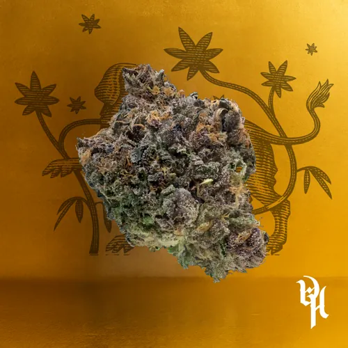 Pink Passion from  product image