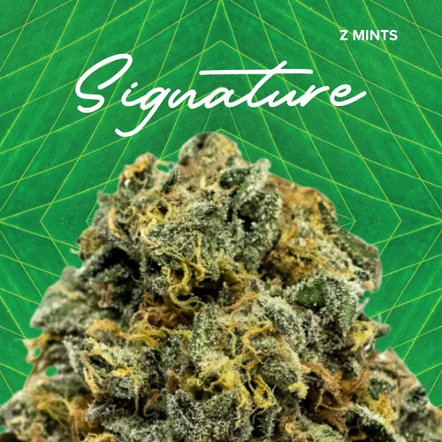 ZMints Signature - 3.5g by Sanctuary Medicinals - 3.500g Whole