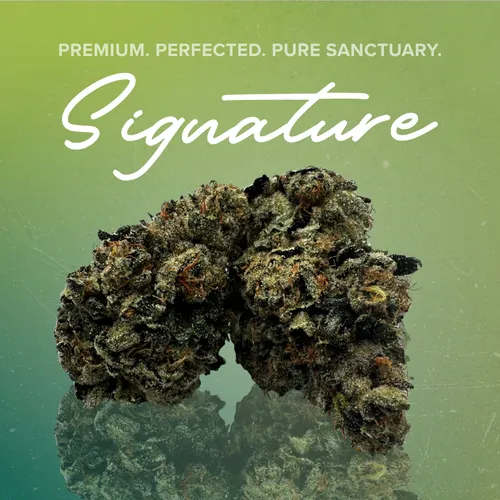 Alien Rock Sour Signature - 3.5g by Sanctuary Signature - 3.500g Whole