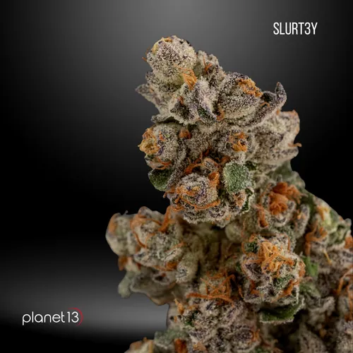 Leaf & Vine - Slurt3y 1/8oz by Planet 13 - 3.500g Whole