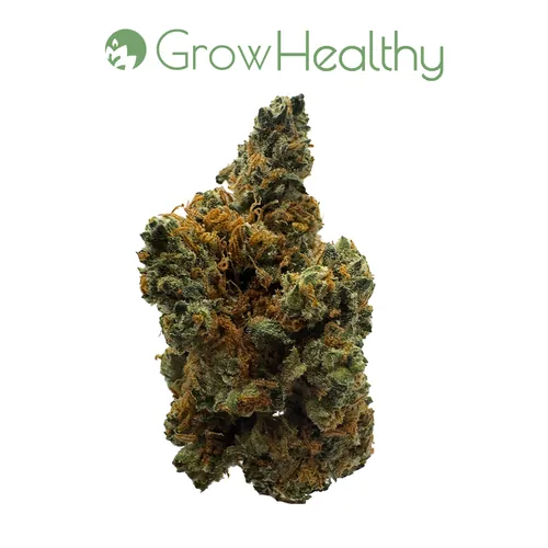 MaadFruit Flower from  product image