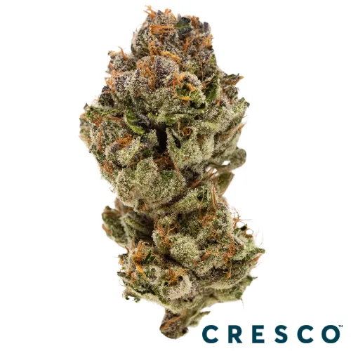 Cresco Premium Flower 3.5g - Sr Apls Bnanas (S)