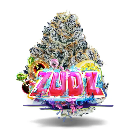 Zudz - 