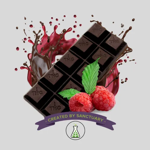 100MG Quickies Raspberry Dark Chocolate Bar - 