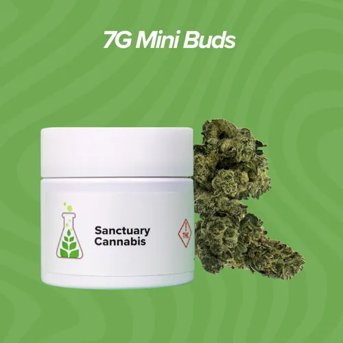 Ztan Lee Mini Buds - 7g from  product image