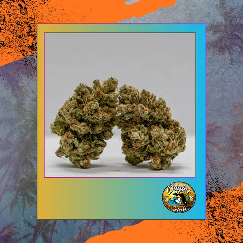 Origins Triangle Kush by Freedom Town - 3.500g Whole