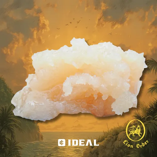 Runna Gal by Ideal Cannabis - 1.000g Badder