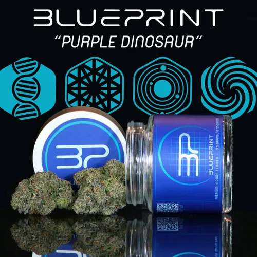 Purple Dino - 