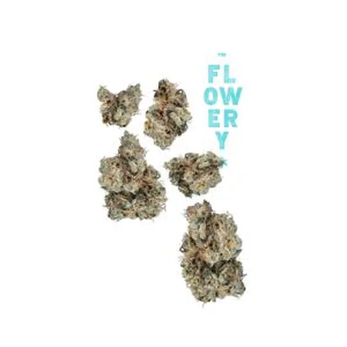 GMO 7g Juniors from  product image