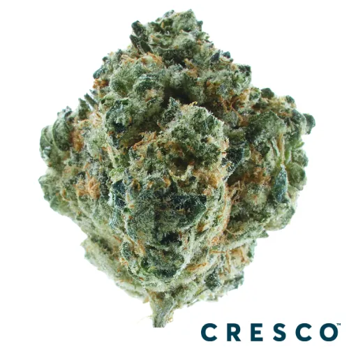 Supply Pre-Roll 1g - Grntz (I)