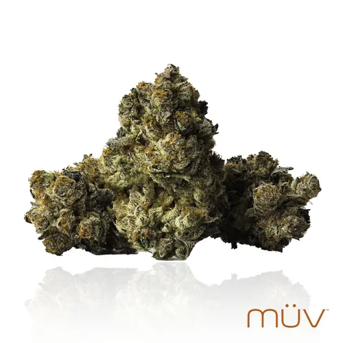 Lemon Pastries -  cannabis product