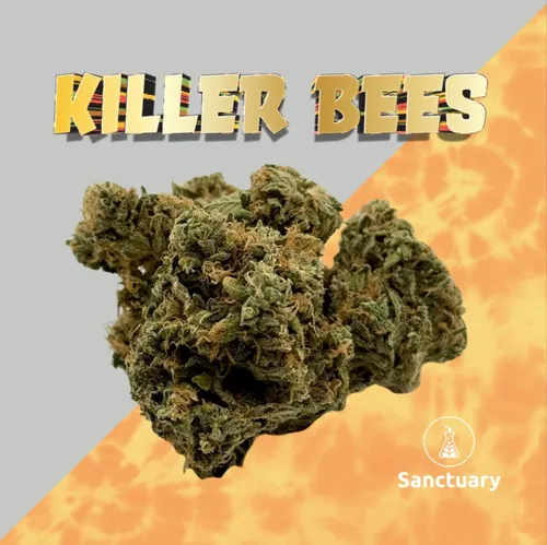 {'strain': 'Killer Bees', 'strain_type': 'Sativa Hybrid', 'company': 'Sanctuary', 'brand': 'Sanctuary Cannabis', 'price': Decimal('22.00'), 'regular_price': Decimal('44.00'), 'thc': Decimal('29.80'), 'cbd': Decimal('0.00'), 'terps': Decimal('0.00'), 'grams': Decimal('3.500'), 'dollars_per_thcg': Decimal('21.090'), 'dollars_per_g': Decimal('6.290'), 'product_format': 'Flower', 'product_sub_format': 'Smalls', 'dispensary_cities': ['Sebring'], 'main_url': 'https://www.sanctuarymed.com/near-me/florida-cannabis-dispensary/sebring-fl-cannabis-dispensary?dtche%5Bproduct%5D=killer-bees-3-5g-small-bud', 'display_image_url': 'https://thchunter-images.s3.us-east-2.amazonaws.com/product_images/d59599cc-cfb0-46d1-b216-fbec89c352c7.webp', 'id': 12476261, 'company_logo_file': 'Sanctuary.jpg', 'company__premium_company': False, 'company__name': 'Sanctuary'}