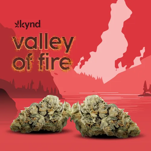 Valley of Fire Flower from  product image