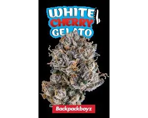 White Cherry Gelato Eighth - 