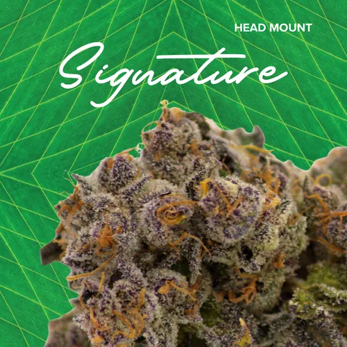 Crumble Head Mount -  cannabis product