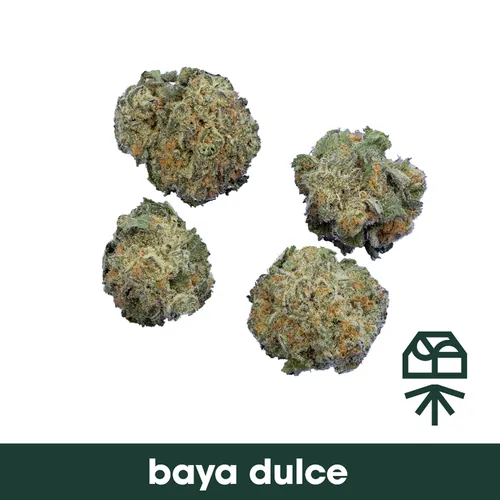 Baya Dulce - 