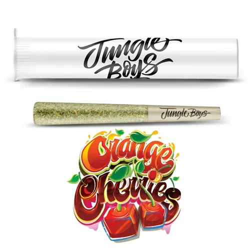Orange Cherries - Premium Pre-Roll by Jungle Boys - 1.000g PreRoll