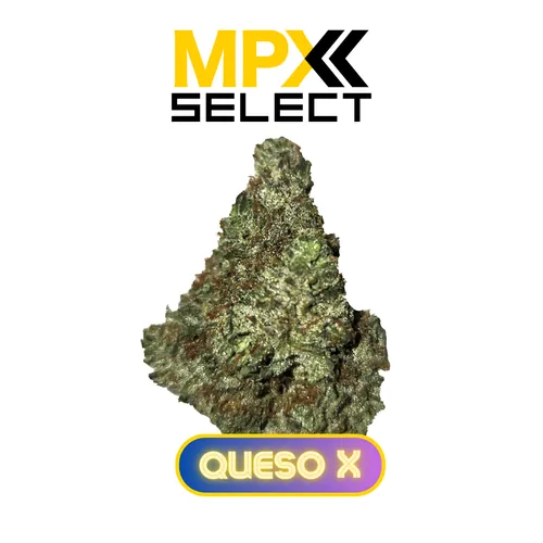 MPX Select Queso X Flower from  product image