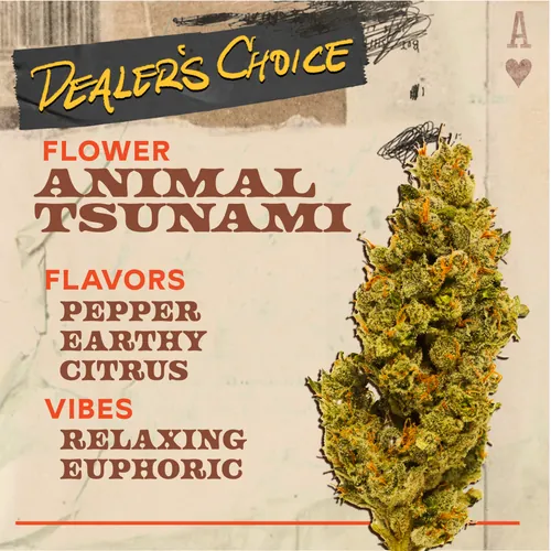 image of Animal Tsunami - 3.5g Flower