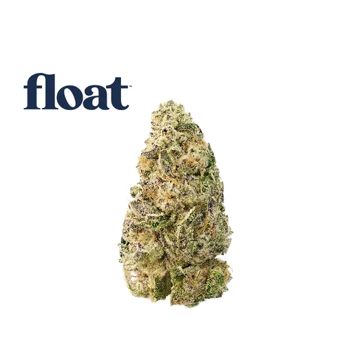 Mocha Popz from  product image