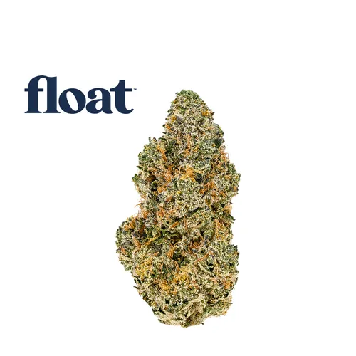 Devil Rays Runtz 5 - Flower - 3.5g by Float - 3.500g Whole