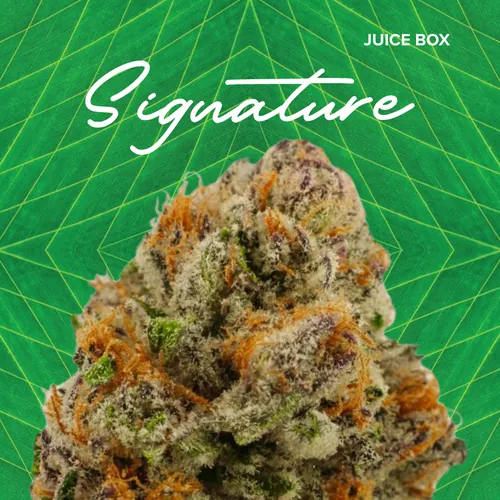  from  product image