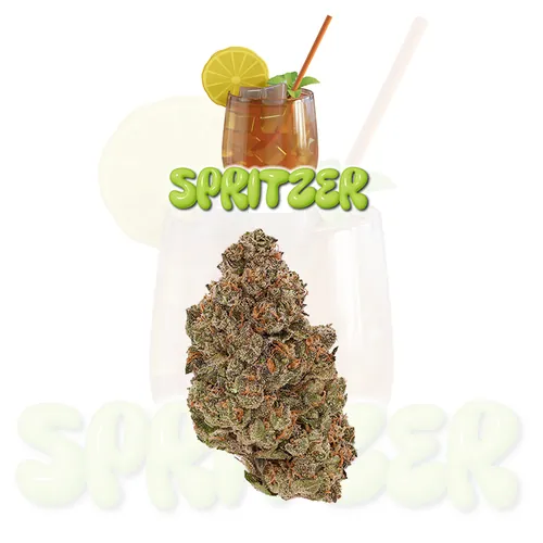 image of Spritzer Tier 3