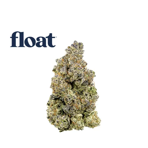 Pine Zap F2 from  product image