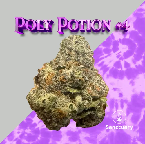 Polyjuice Potion #4 - 
