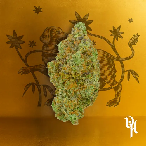 Permanent Runtz #3 by Doghouse - 3.500g Whole