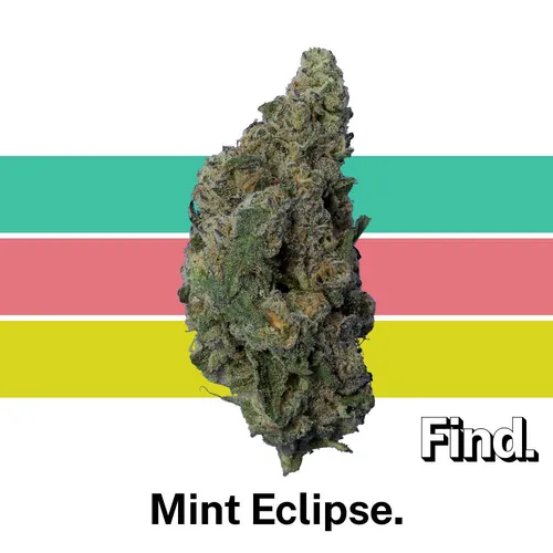 Mint Eclipse - 