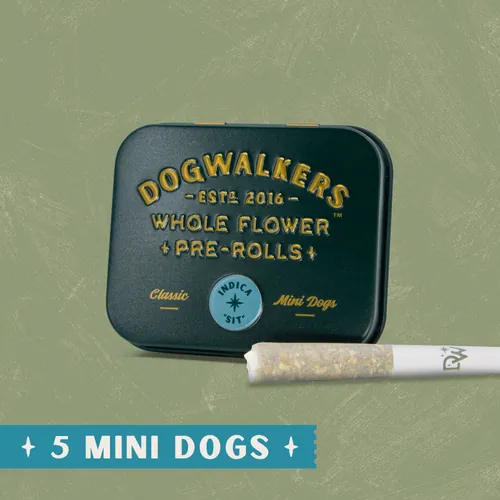 London JLLY [.35g] by Dogwalkers - 0.350g PreRoll