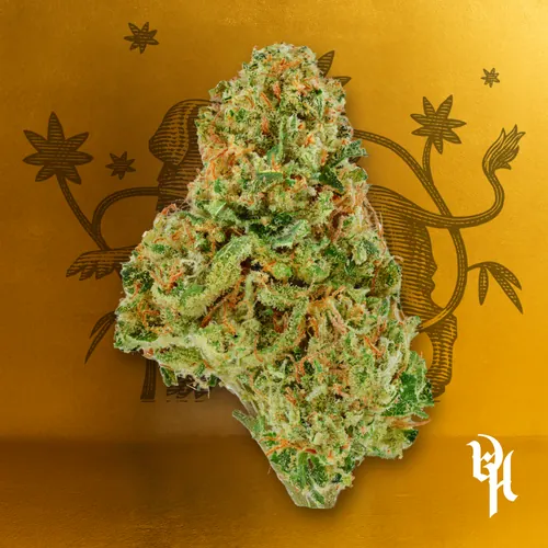 Permanent Runtz by Doghouse - 3.500g Whole